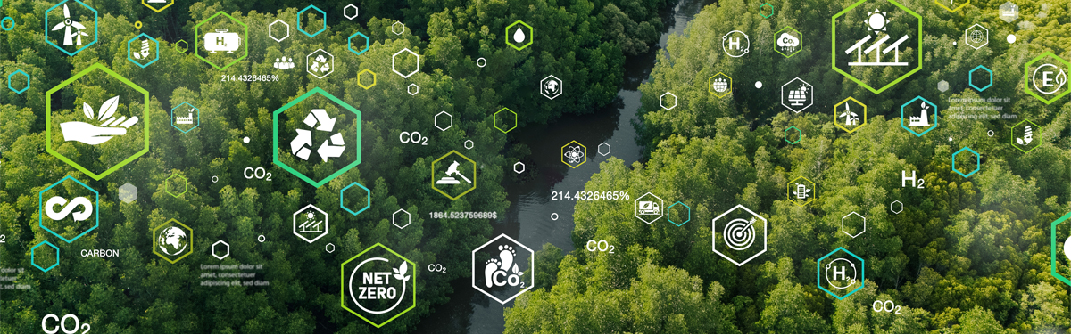 How ISO Standards Can Guide Your Sustainability Journey How ISO Standards Can Guide Your Sustainability Journey